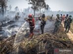 penanganan-karhutla-di-riau-2849071