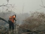 1791939637_hot_spot_nasional_turun_bukti_nyata_kerja_keras_pemerintah_mengendalikan_karhutla