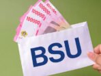 BSU-3012610499